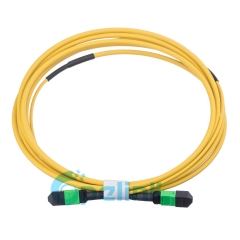 MPO/MTP Cable de fibra redonda Singlemode Cable de parche de fibra óptica
