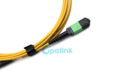 MPO/MTP Cable tronco, Cable de fibra redonda Singlemode Cable de parche de fibra óptica