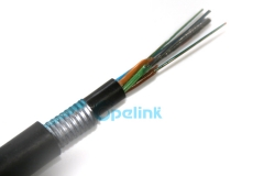Cable de fibra óptica blindado de hasta 216 núcleos, cable de fibra óptica para exteriores GYTY53 para antena / tubería / enterrado directo, con buenas propiedades mecánicas y características de temperatura